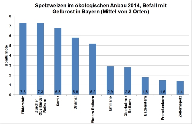 In der Grafik ist Anfälligkeit gegenüber Gelbrost in dem öko-LSV für Spelzweizen für 2014 dargestellt. Die höchste Anfälligkeit mit Boniturnoten von etwa 7 wurde bei den Sorten Zürcher Oberländer Rotkorn, Filderstolz und Samir festgestellt.  Ebners Rotkorn weist ebenfalls eine hohe Anfälligkeit mit einer Boniturnote von 5,2 auf. Bei allen anderen geprüften Sorten war die Anfälligkeit geringer.