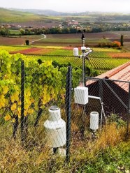 Wetterstation in einem Weinberg