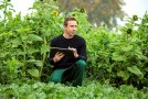 Mann sitzt im Feld mit Tablet