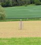 Malaisefallen am Acker