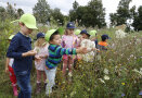 Mehrere Kinder begutachten eine Blühfläche