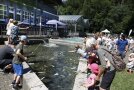 Zahlreiche Kinder angeln "Fische" aus einem Becken.