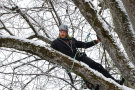 Baumkletterer im Baum im Winter