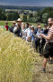 Besucherinnen und Besucher des Öko-Feldtages vor einem Feld