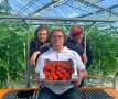 drei Personen mit einer Steige Tomaten im gewächshaus