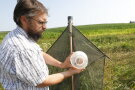 Ein Wissenschaftler begutachtet eine Insektenfalle