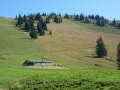 Blick auf eine Almfläche mit einer Almhütte im Vordergrund