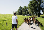 Biobetriebe in Bayern