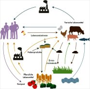 Abbildung 5: Schema der Kreislaufwirtschaft des Agrar- und Ernährungssystems