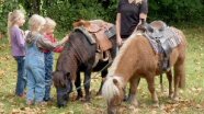 Kinder mit kleinen Ponys