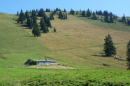 Eine Almfläche mit einer Almhütte im Vordergrund.