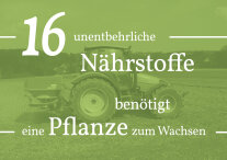 16 unentbehrliche Nähstrstoffe benötigt eine Pflanze zum wachsen