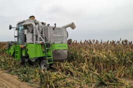 Erntemaschine am Rand eines Feldes mit Körnerhirsebestand.