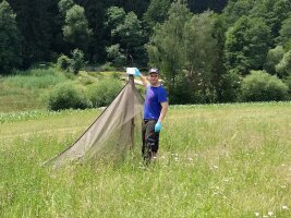 Person an einer Malaisefalle auf einer Wiese