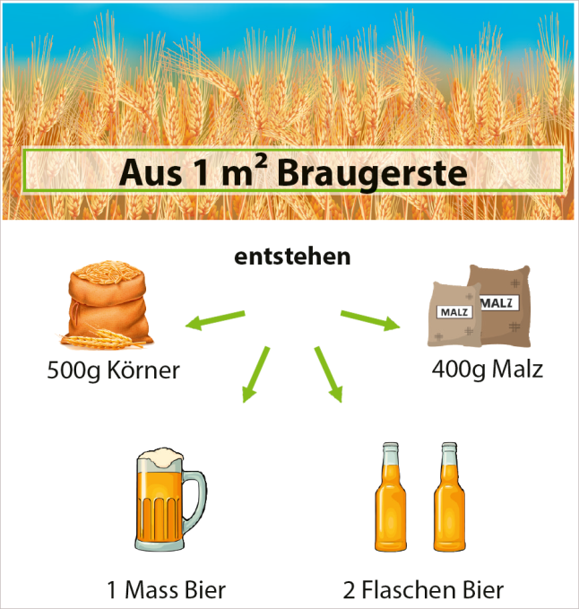 Zeichnung Körnersack, Bierflasche, Maßkrug