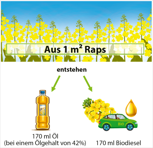 Zeichnung mit Ölflasche, Raps und Auto