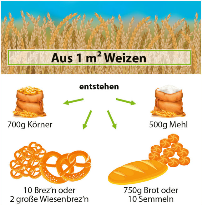 Grafik von Semmeln und Mehlsaecken