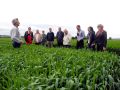 Mehrere Personen stehen in einem grünen Feld, ein Mann erklärt ihnen etwas