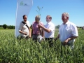 Vier Männer auf dem Feld