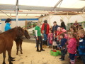 Gruppen von Menschen in Vortragsraum mit zwei Ponys