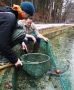 zwei Männer an einem Weiher mit Kescher