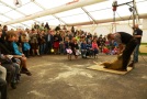 Mann schert Schaf vor Publikum