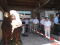 Exponat Superbulle Excalibur beeindruckt die Besucher