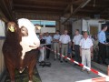 Exponat Superbulle Excalibur beeindruckt die Besucher