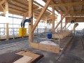 Milchviehstall im Bau