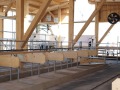 Blick in einen Milchviehstall