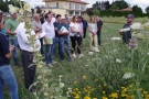 Menschen stehen an einem blühenden Feld