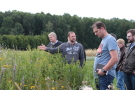 Mehrere Menschen schauen sich ein Feld mit vielen unterschiedlichen Blumen an