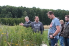 Mehrere Menschen schauen sich ein Feld mit vielen unterschiedlichen Blumen an