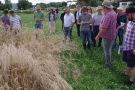 Menschen stehen an einem Feld