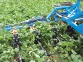 Maschine bei der Feldarbeit