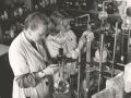 Historische Aufnahmen von Frauen im Labor