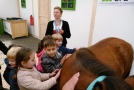 Kinder streicheln ein Pferd