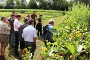 Menschen stehen auf einem Feld