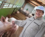 Mann fasst Schwein an die Nase und lacht