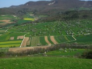 Blick auf eine Landschaft mit Streuobst und kleinen Feldern,  Schwäbisches Alb 