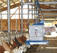 Blick in einen Stall mit Küchen und einer automatischen Fütterungsmaschine