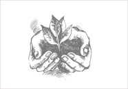Zeichnung einer Hand, die eine Pflanze hält