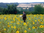 Mann steht in einem Feld mit Sonnenblumen und referiert