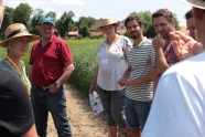 Gruppe im Gespräch beim Feldtag