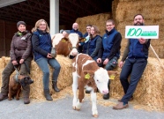 Gruppe von Menschen mit Kalb vor Heuballen