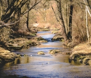 Bachverlauf