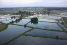 Blick auf mehrere Karpfenteiche.