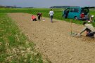 Mehrere Personen arbeiten auf einem Feld. 