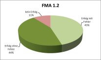 Kreisdiagramm Parametergruppe FMA 1.2, 11% kein Erfolg