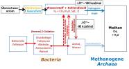Schema der Biomethanproduktion aus Überschussstrom